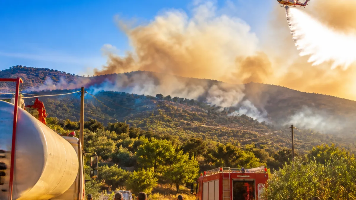 Φωτιά στο Τάχι: επιχείρηση πυρόσβεσης και κινητοποίηση στη Θήβα