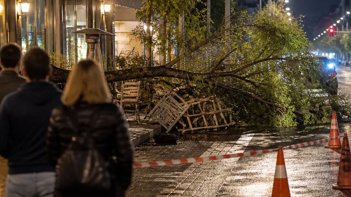 Νέα πτώση δέντρου στη Στρατάρχου Καραϊσκάκη στο Χαϊδάρι με τυχερό αποτέλεσμα
