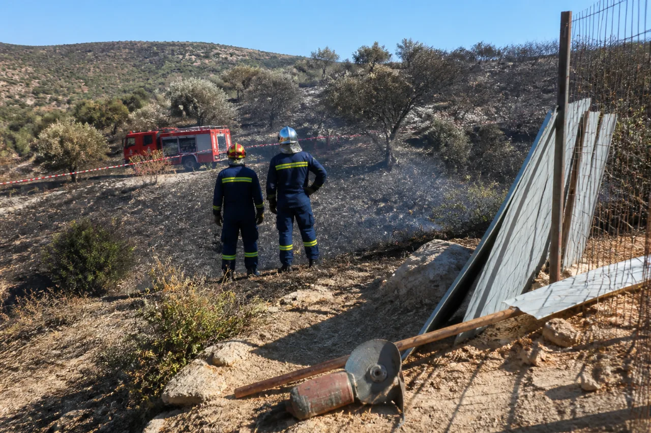 Σαλαμίνα: σύλληψη 61χρονου για πυρκαγιά από αμέλεια στα Αμπελάκια — πρόστιμο 4.021,87€