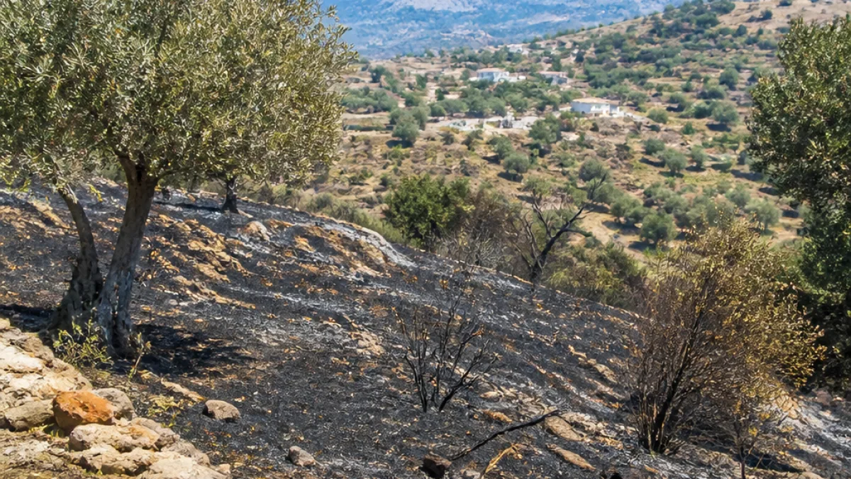 Σύλληψη για τη φωτιά στο Μελιδοχώρι: πρόστιμο και νομικές διαδικασίες μετά την καταστροφή