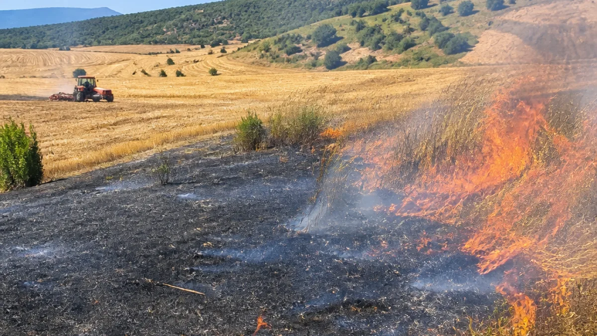 Σύλληψη στο Κιλκίς μετά από φωτιά που ξέσπασε σε αγροτικές εργασίες — 120 στρ. καμένα