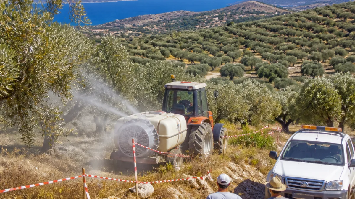 Ξεκινά στις 20 Ιουλίου ο δεύτερος γύρος ψεκασμών για τον δάκο στη Λέσβο