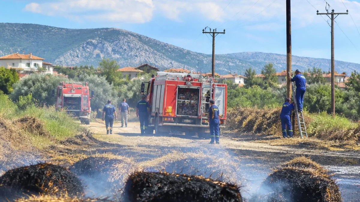 Υπό έλεγχο η φωτιά ανάμεσα σε Νεοχωρόπουλο και Κάτω Μάρμαρα — διερευνάται πιθανή βλάβη στο δίκτυο