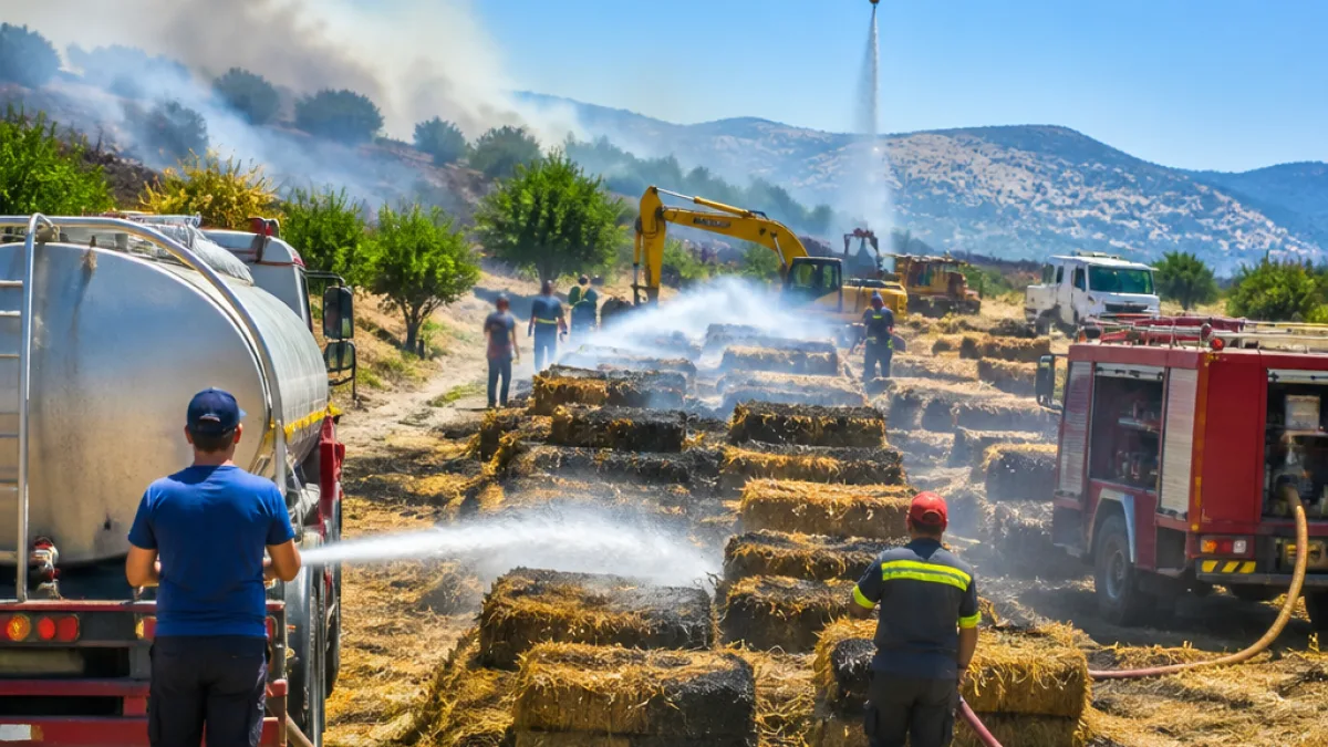 Υπό έλεγχο η φωτιά στα Λάβαρα Έβρου — παραμένουν δυνάμεις για αποτροπή αναζωπυρώσεων